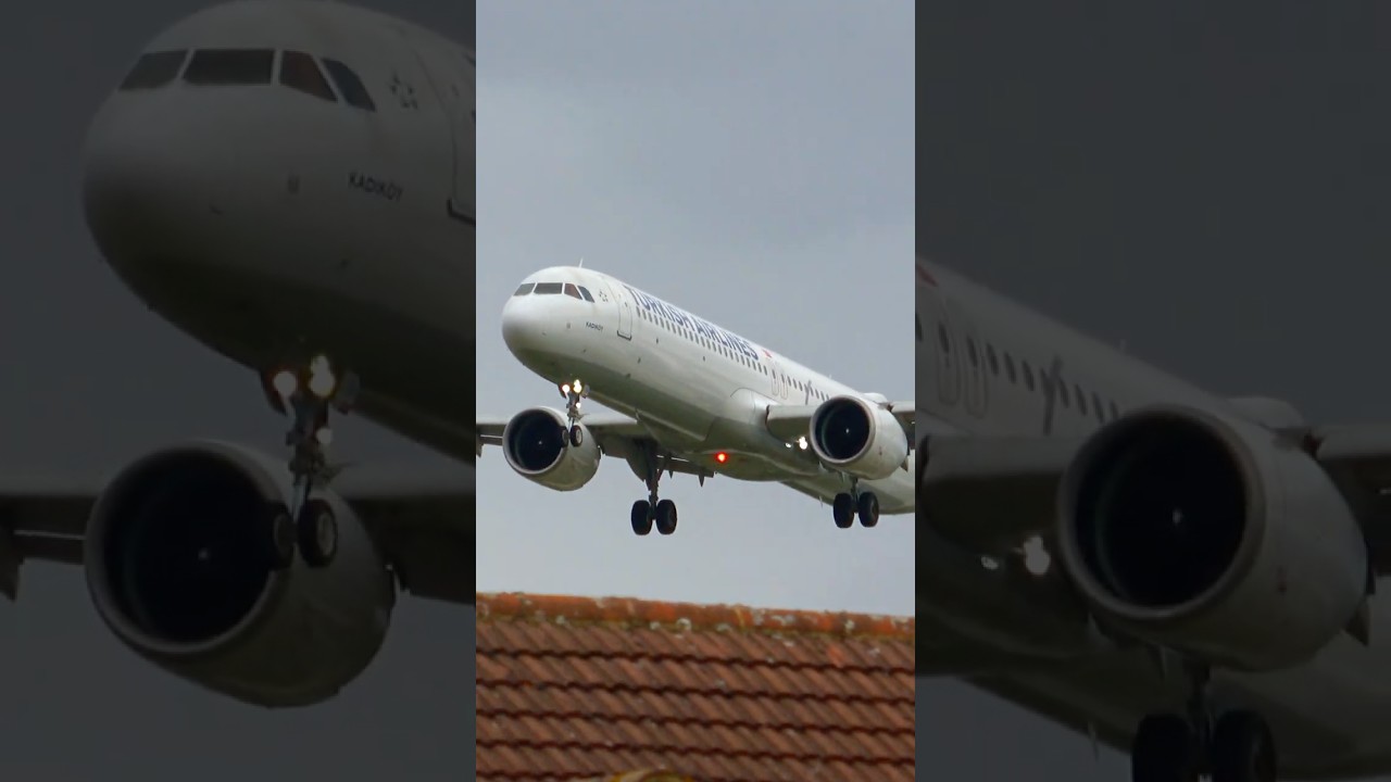 🇹🇷 Turkish Airlines Airbus A321neo Landing @ London Heathrow Airport - RW27L - Myrtle Avenue