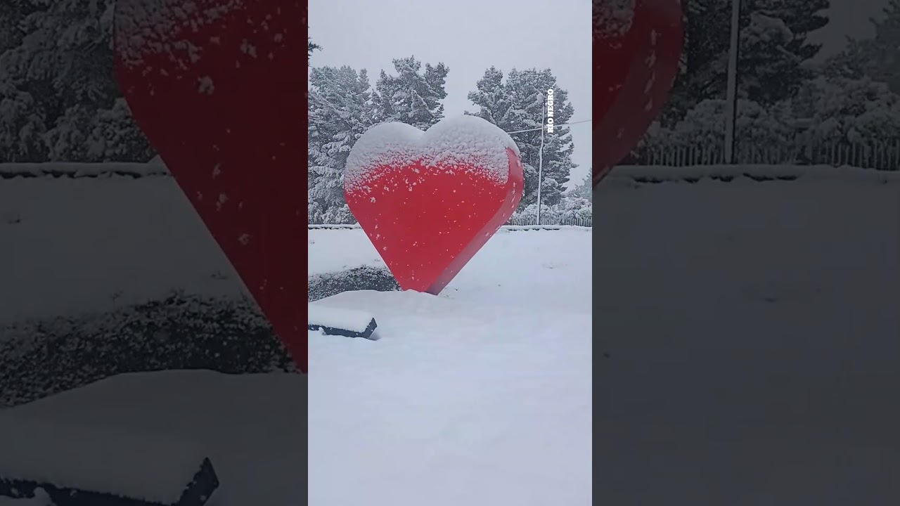❄ ¡Un noviembre inesperado! Zapala amaneció vestido de blanco