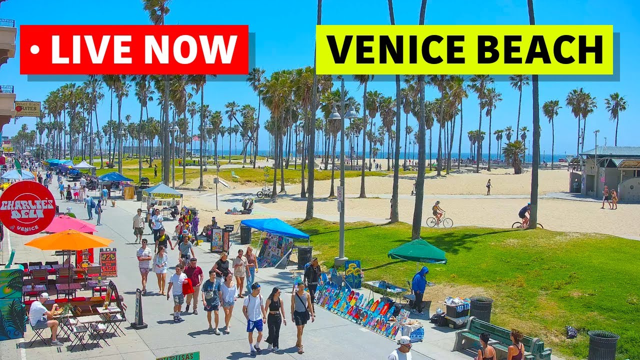 🔴 Venice V Hotel Live · Venice Beach Live Camera · Los Angeles Live Stream · California Webcam