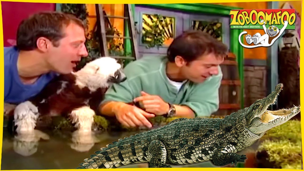 🐵 Zoboomafoo 🐊 with the Kratt brothers! CROCODILIAN | Full Episode | Animal Show for Kids