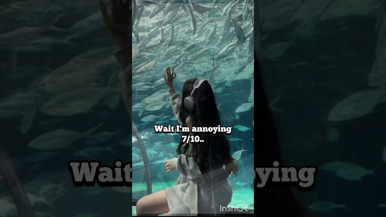 0/10!!🥲👍🏻 #reality #sad #fypシ゚viral  @koreanyeonin1125