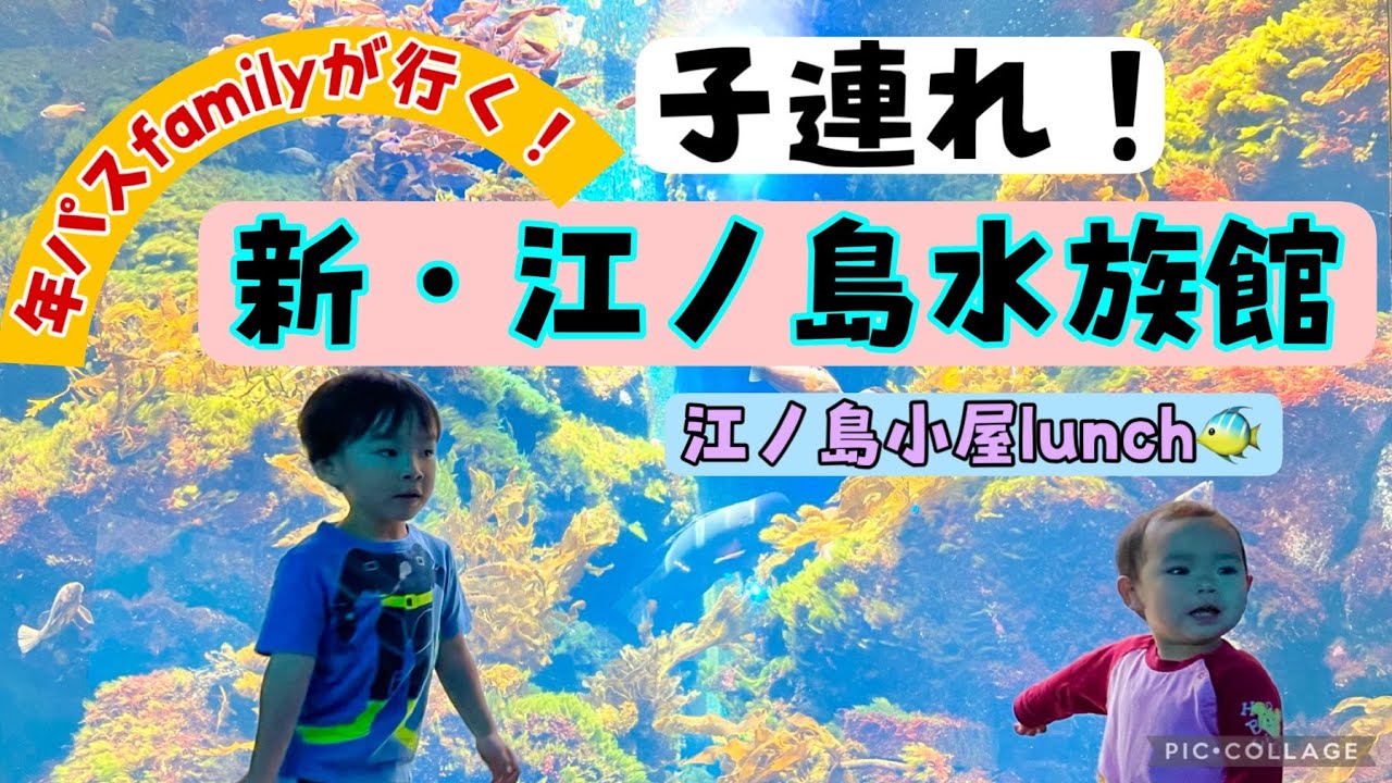 【子連れ！江ノ島水族館の1日🐠江ノ島小屋ランチ】#子連れ #子連れエノスイ#新江ノ島水族館 #水族館 #江ノ島水族館 #江ノ島小屋#江ノ島ランチ#湘南 #藤沢 #片瀬江ノ島#小田急線 #kazuco