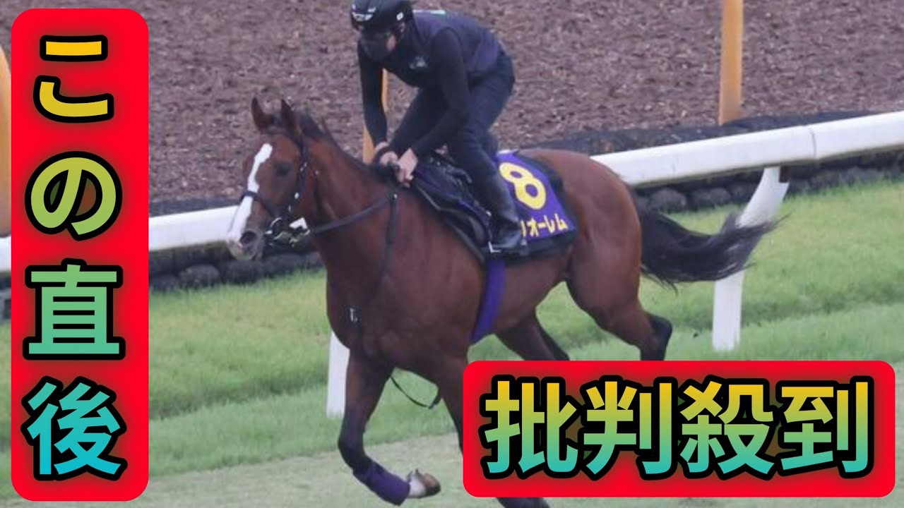 【菊花賞】ラスト1冠取りの準備整ったメリオーレム　本番での爆発に陣営も期待感