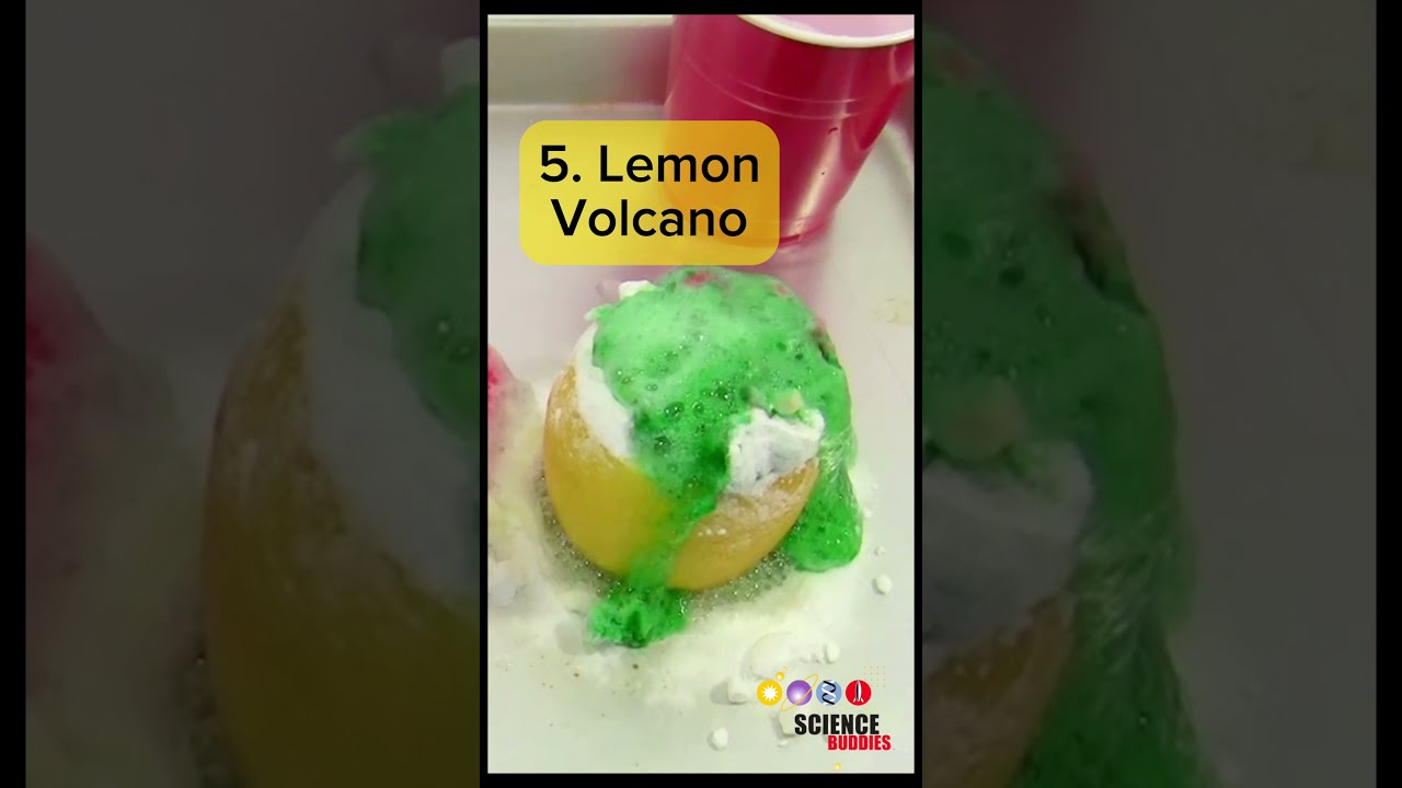 10 Fun Science Activities