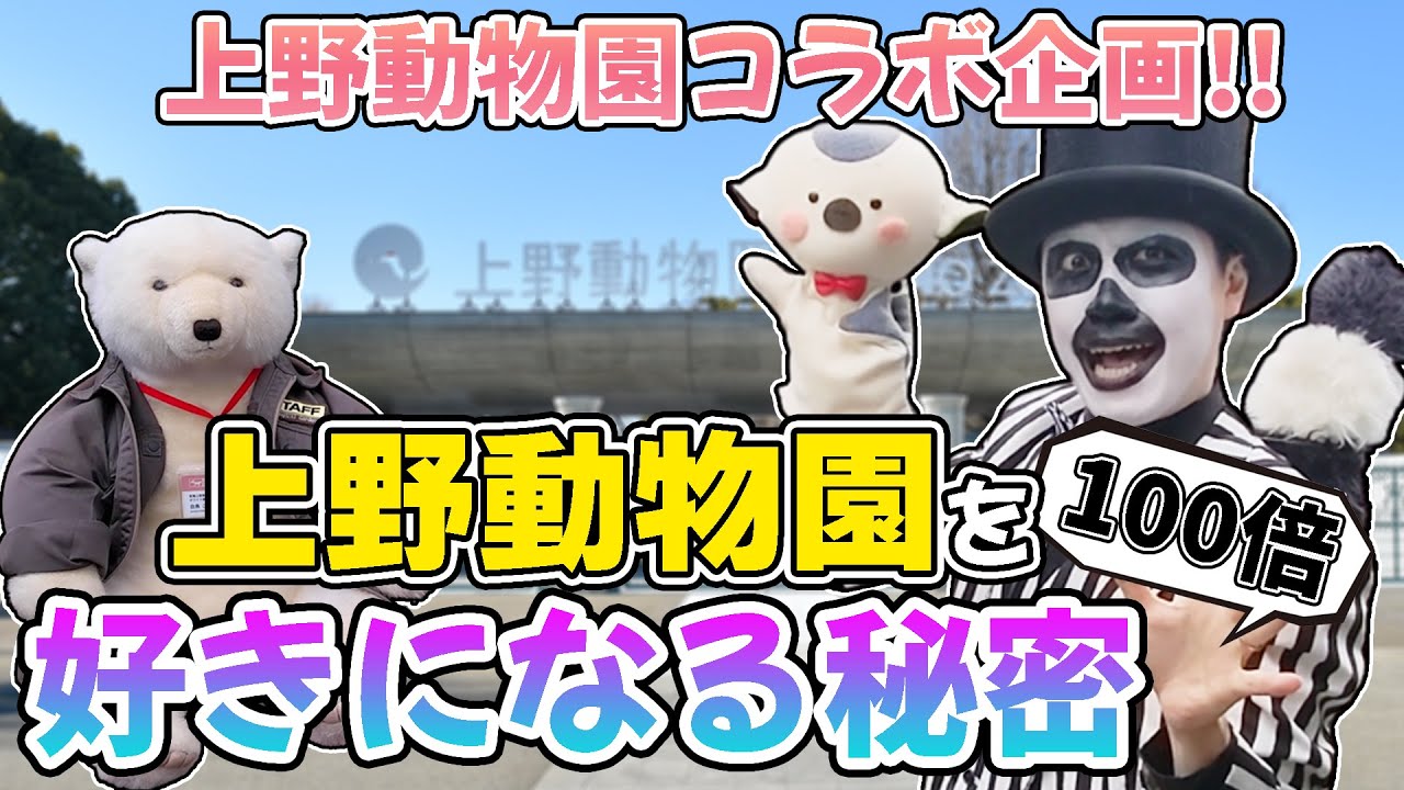 【上野動物園コラボ企画】100倍好きになる秘密！WoWキツネザル in 上野動物園