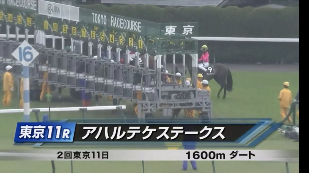 【限定】東京11R アハルテケステークス