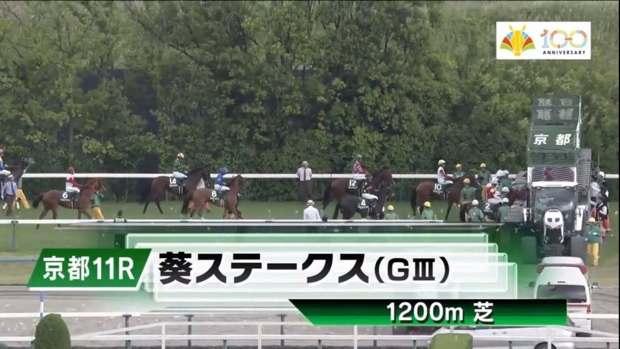 京都11R 第8回葵ステークス（GⅢ）
