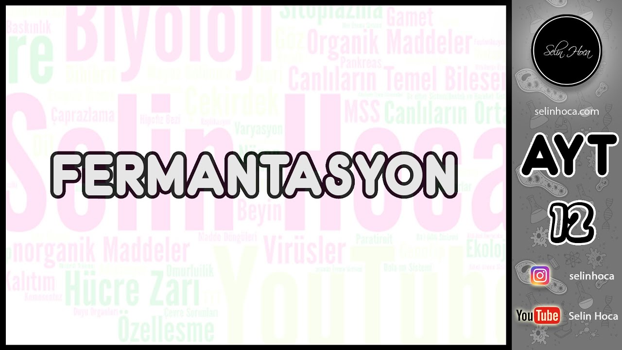 12) Fermantasyon