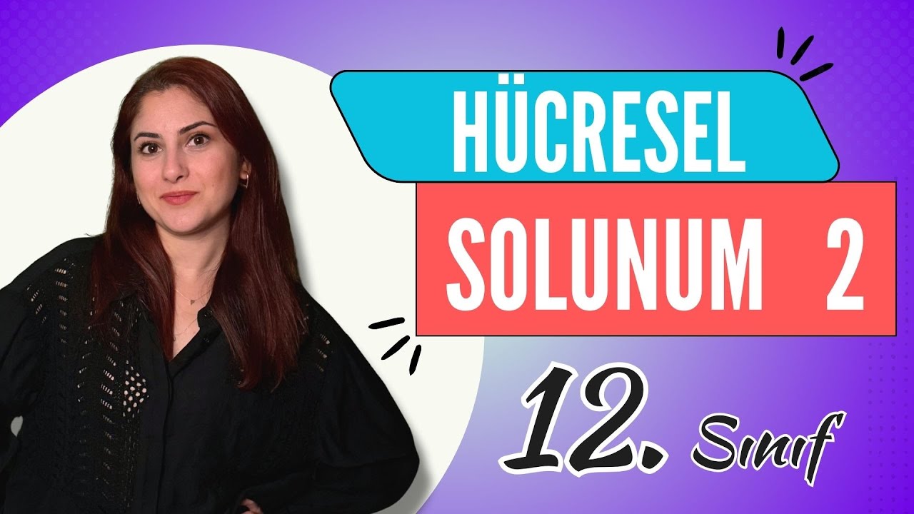 12) HÜCRESEL SOLUNUM 2 | 12. SINIF | DETAYLI KONU ANLATIMI | AYT 2024