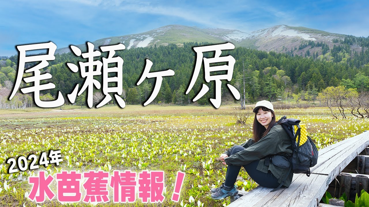 【尾瀬ヶ原】水芭蕉に大感激！1泊2日テント泊ゆるトレッキング！