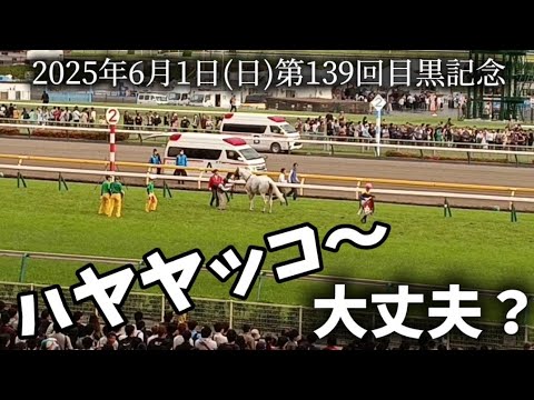 『ハヤヤッコ』大丈夫？第139回·目黒記念〜現地·東京競馬場