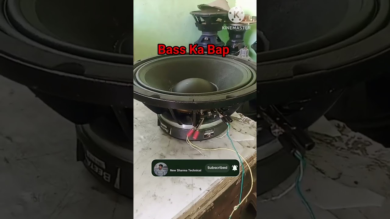 18 Inch Speaker Bass 🔊🔊🔊 Bass Ka Bap 13 watt Full Bass #djbass #reels #trending #shorts