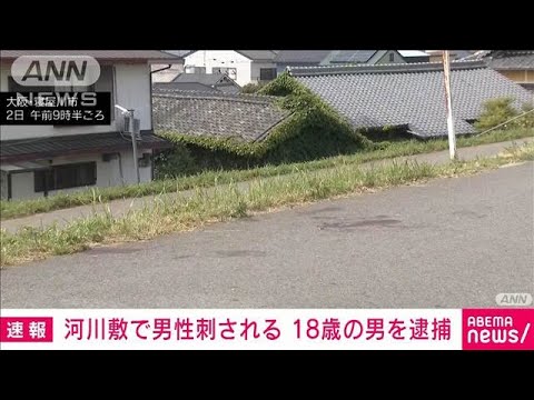 大阪・寝屋川市の河川敷で男性刺される　18歳の男を殺人未遂容疑で逮捕(2025年6月3日)