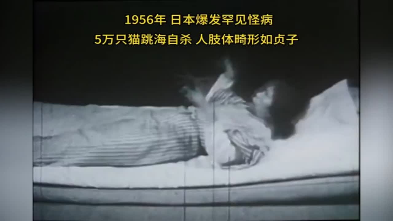1956年日本水俣病真实录像，5万只猫跳海自杀，人体畸形犹如贞子