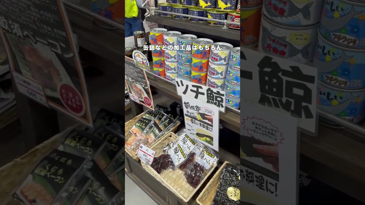 【房総半島】道の駅特集第2弾 #房総半島 #房日新聞 #館山 #南房総