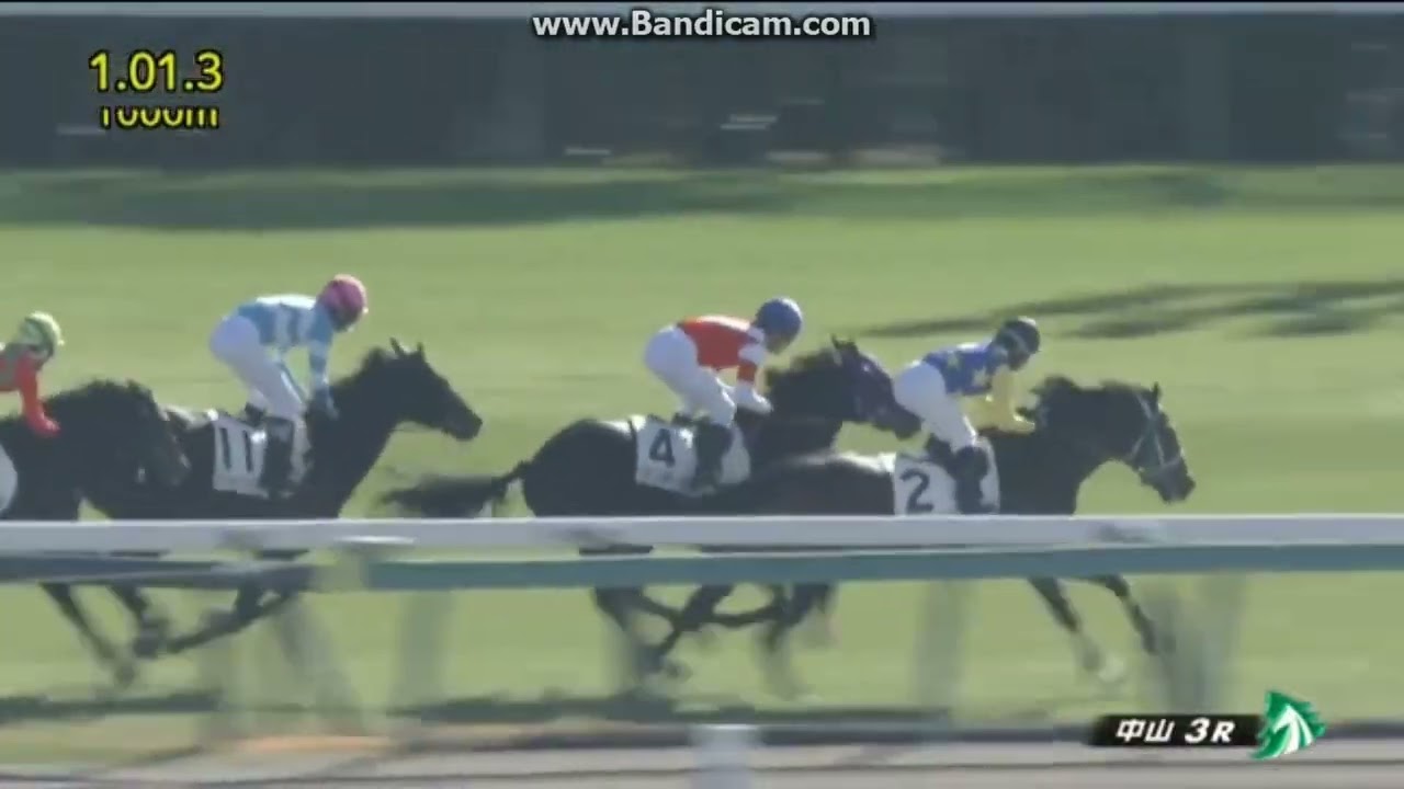 ニシノエージェント　2歳未勝利