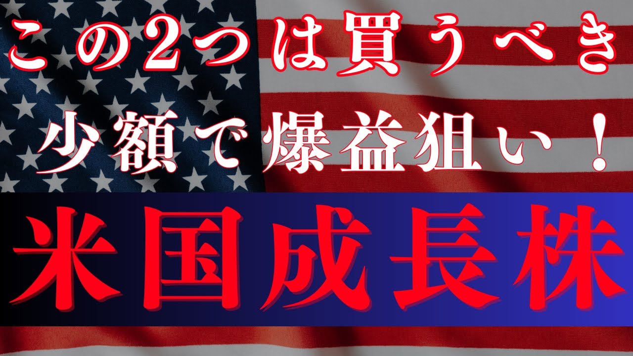 【エヌビディアに続け】この2銘柄はガチホしている最強米国成長株