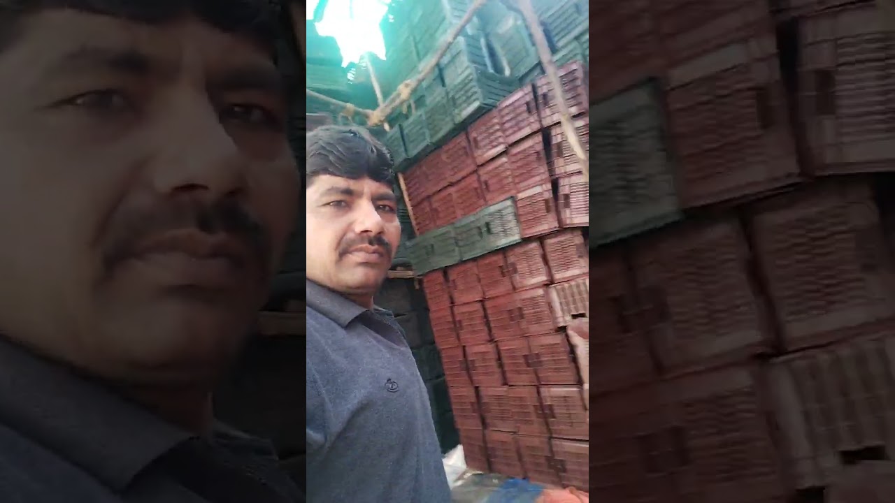 20 मई 2024