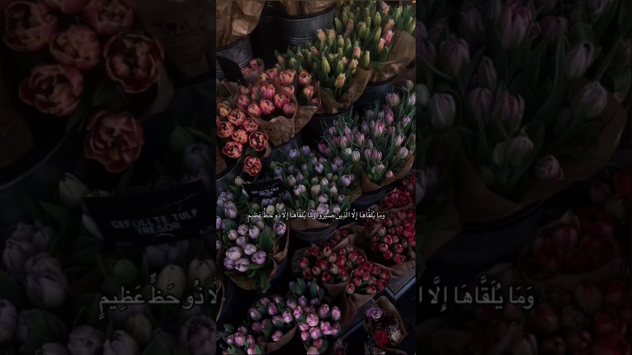 20 أفريل 2025