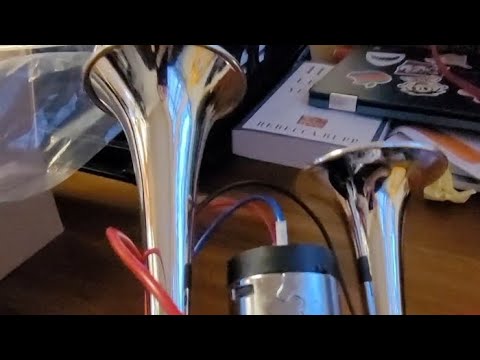 $20 ebay air horn review