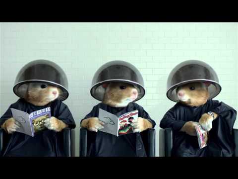 2014 Kia Soul Hamster Commercial
