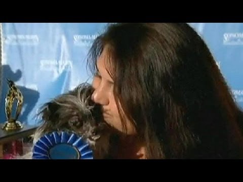 2014 World's Ugliest Dog competition