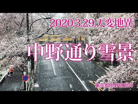 2020.3.29.【中野通り雪景】中野区新井
