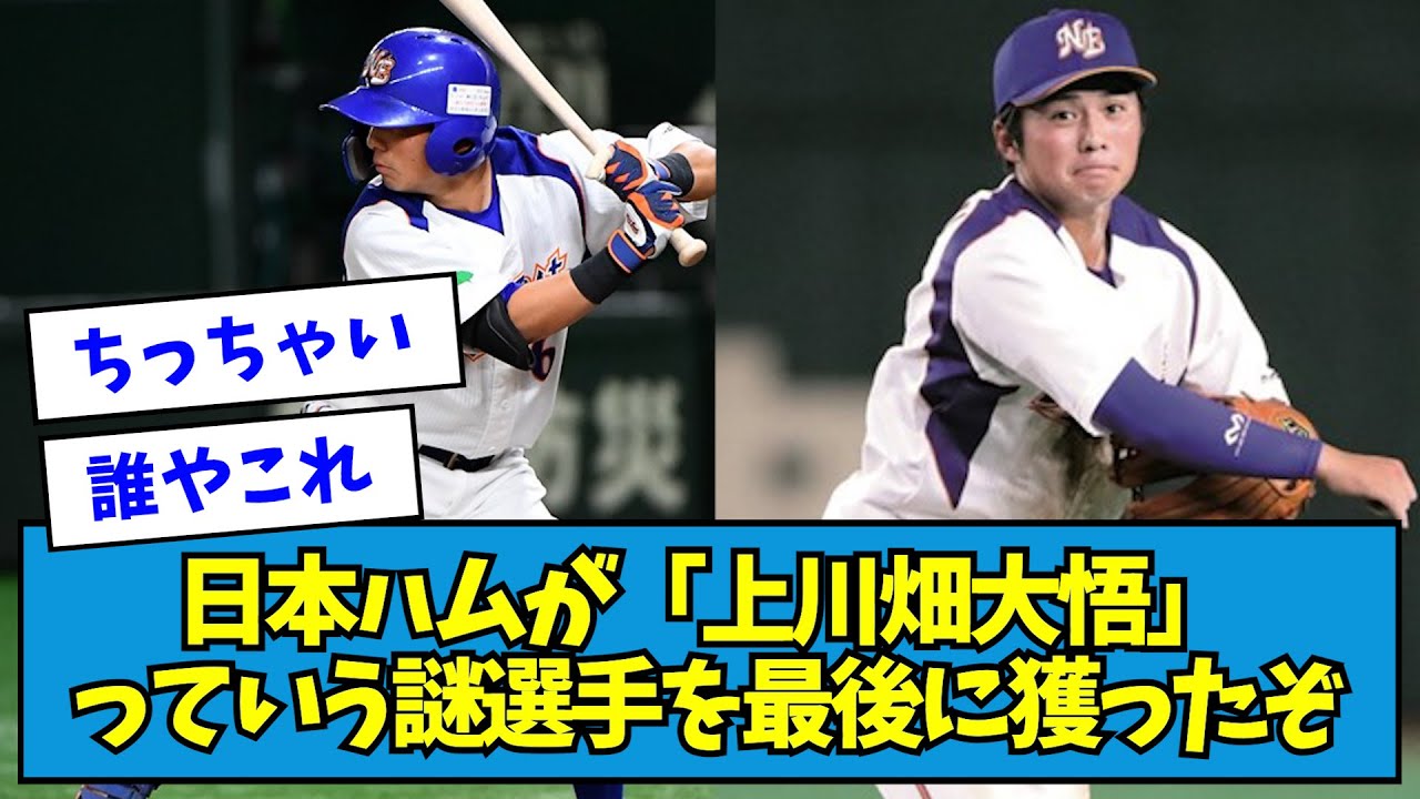【2021年】日本ハムが「上川畑大悟」っていう謎選手を最後に獲ったぞ【なんJ反応】
