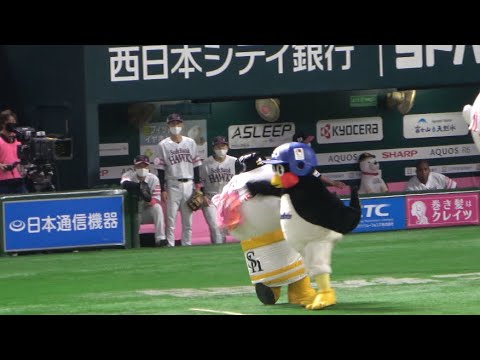 【つば九郎にホークスナイン爆笑🤣】こふうさんにラリアットするつば九郎😍鷹ガールユニホームを強奪😍2022.6.12
