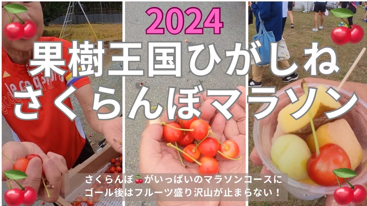 ひがしねさくらんぼマラソン2024走ってきた！　果樹王国ひがしねさくらんぼマラソン大会2024の参加レポです　地元の子供たちの大声援を受けて、さくらんぼ始めフルーツ農園の中を気持ちよく走ってきました