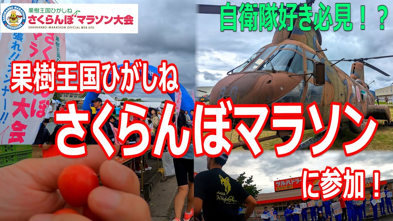 【参加賞さくらんぼ】果樹王国ひがしねさくらんぼマラソンに参加！（山形県東根市）2024.6.2