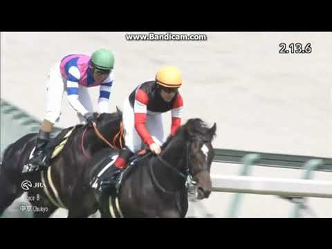 2025 大寒桜賞 (3歳1勝クラス)　エムズ