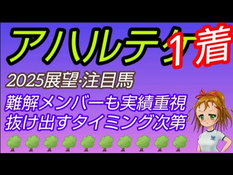 【アハルテケステークス2025】展望•注目馬◆難解メンバー揃ったが実績重視~初ダート馬の取捨選択は…