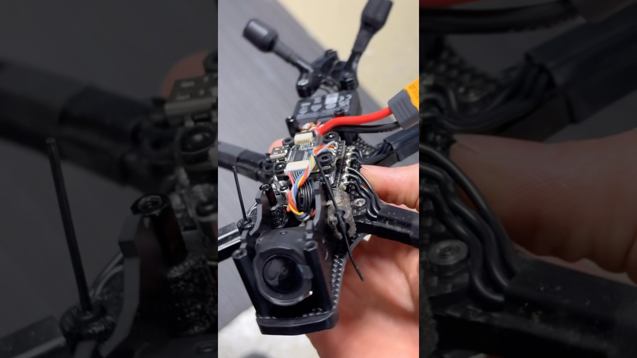 2025 things new freestyle build