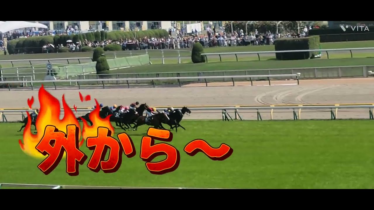 2025/05/04 東京9R 府中ステークス メリオーレム パドック、本馬場入場、レースの様子