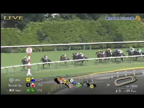20250601 競馬ﾚｰｽﾄﾋﾟｯｸ　04【さあオープン!!】'25むらさき賞 T1800 16下 メリオーレム