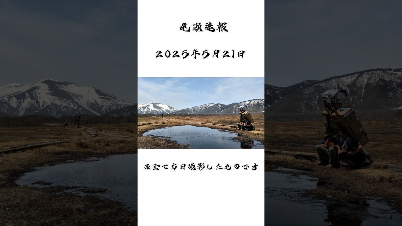 【2025年5月21日】尾瀬速報！絵画のような世界にどうぞ！