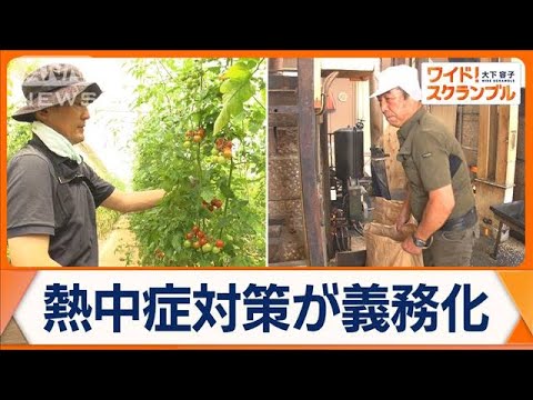 企業の熱中症対策、来月から義務化　対応に苦慮する現場も　政府の対応は？【ワイド！スクランブル】(2025年5月22日)