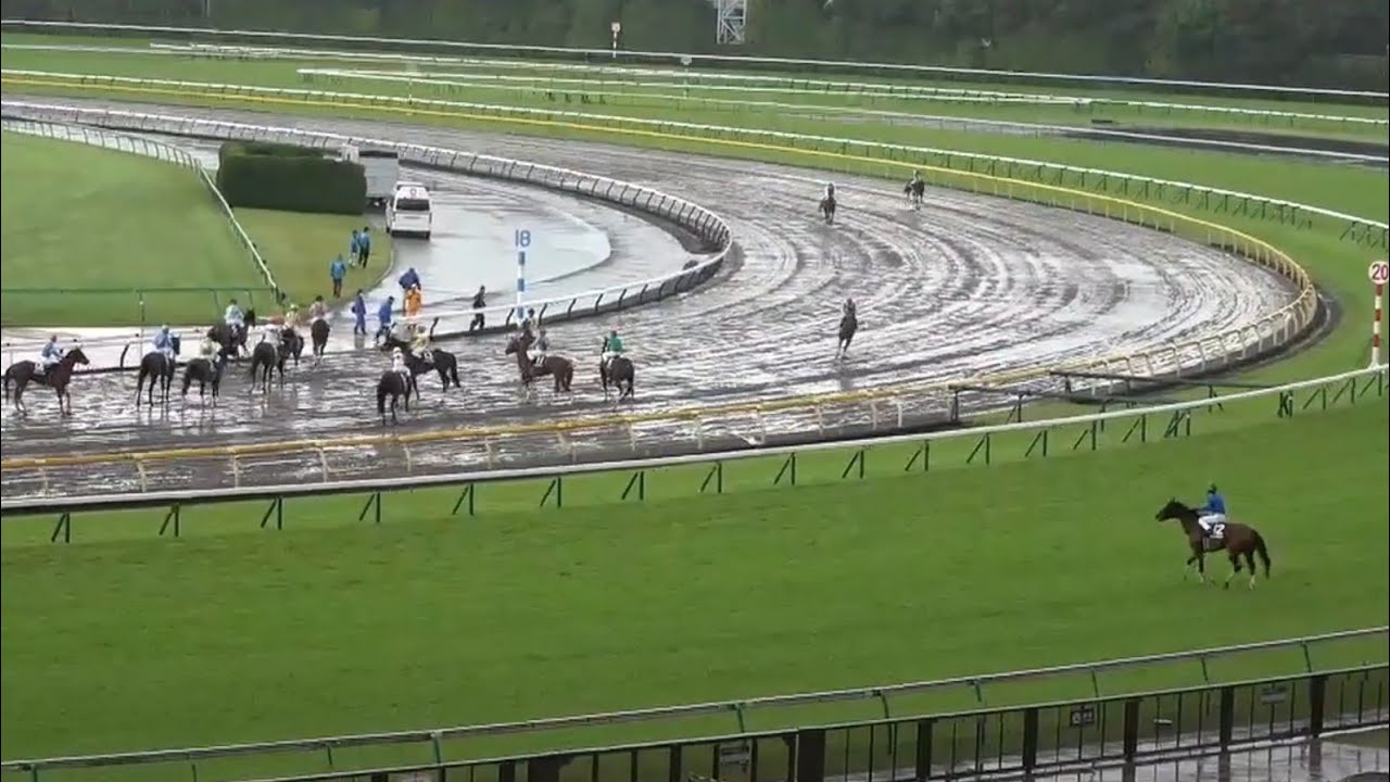 【落雷回避で他馬がダートコースから戻るなか唯一芝コースからの戻りを選択した津村明秀騎手&ウィンダミア号】※落雷の可能性があるため取りやめとなった富嶽賞　2025年5月31日（土）東京競馬場