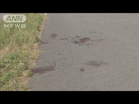 男性が河川敷で刺される　殺人未遂事件で捜査　大阪(2025年6月2日)
