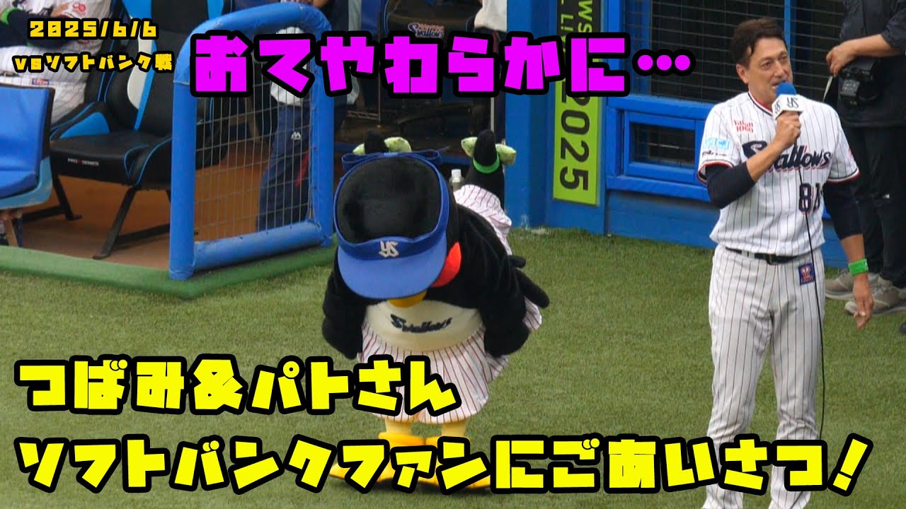 つばみ&パトさん　ソフトバンクファンにごあいさつ！　2025/6/6 vsソフトバンク