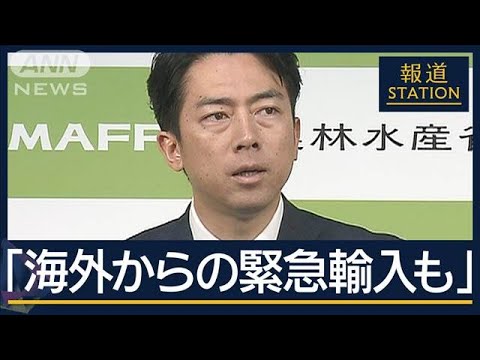 店頭価格も下がる“前兆”？コメ卸売業者重要な指標『スポット価格』が下落【報道ステーション】(2025年6月6日)