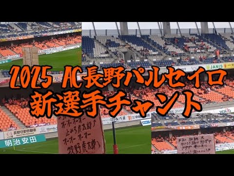 2025AC長野パルセイロ新選手チャント【5月31日VS奈良クラブ】