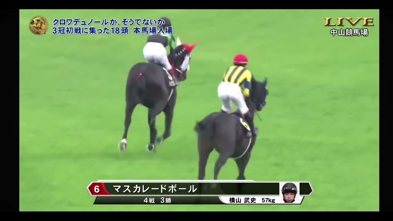 2025皐月賞G1 本馬場入場