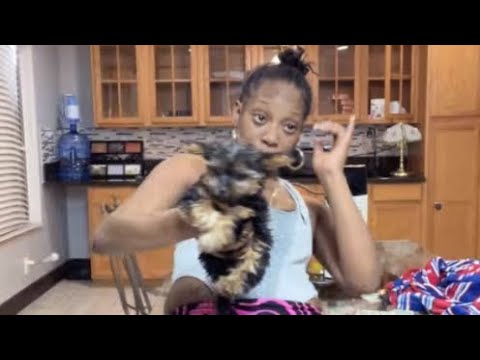 21 vs Shy girl on Bigo