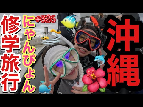 にゃんぴょんチームの沖縄修学旅行パート2動画公開するけど超難問問題ぶちかますね2泊3日でスイーツを何個食べたでしょうwこのチームのことだから食前食後は当たり前だからまじで漢方かよ