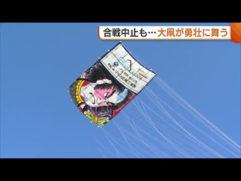 “畳24畳分の大凧”勇壮に舞う！伝統行事“白根大凧合戦”が開幕　一時は開催危ぶまれるも…「これを楽しみに一年準備してきた」新潟・南区 (25/06/05 19:11)