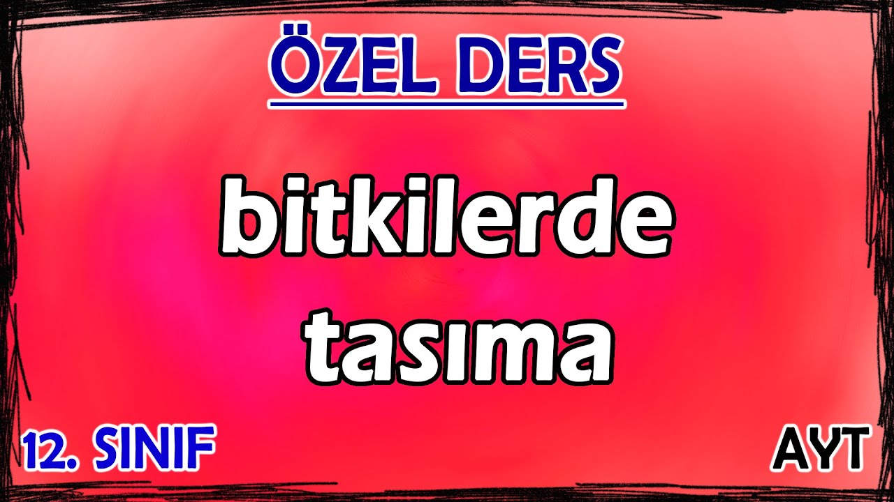 24) Bitkilerde Taşıma - Özel Ders (12. Sınıf)