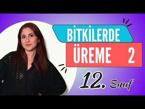 24) BİTKİLERDE ÜREME 2 | 12. SINIF | DETAYLI KONU ANLATIMI | AYT 2024