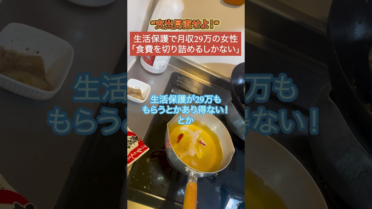 【批判】生活保護で月収29万→「生活見直せ！」と批判殺到...